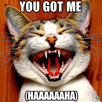 Laughing Cat You Got Me Meme
