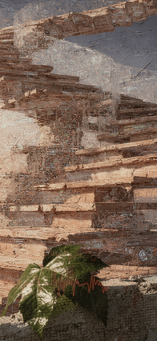 Floating Wooden Staircase Over a Sunlit Ruin