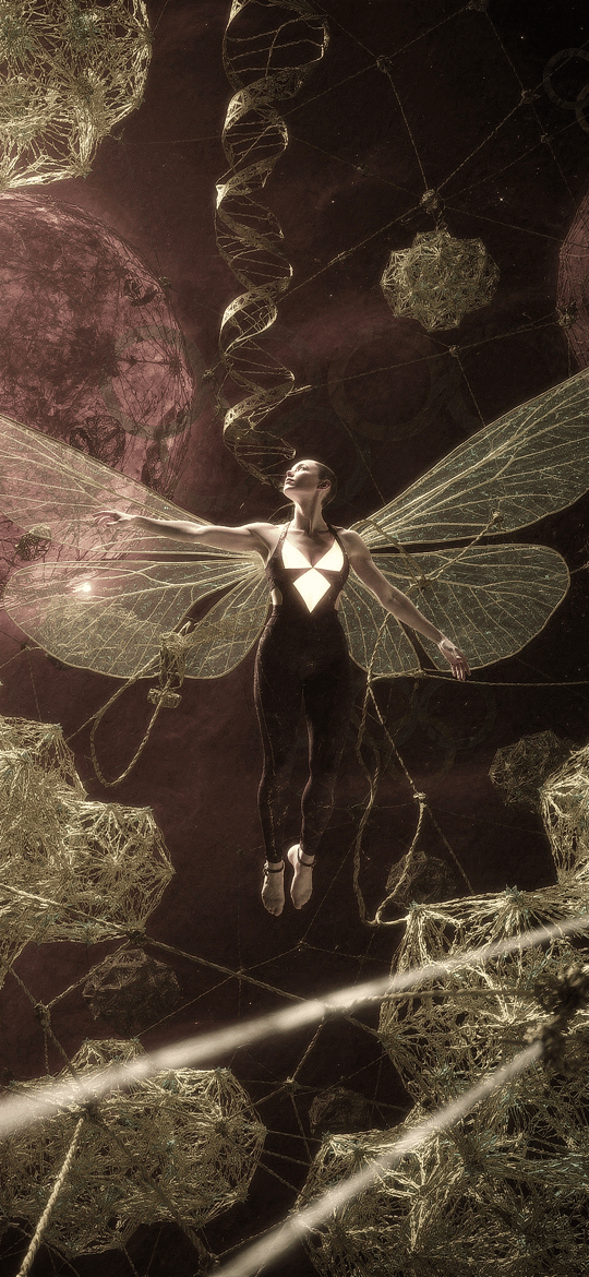 Winged Woman in Cosmic Neural Network