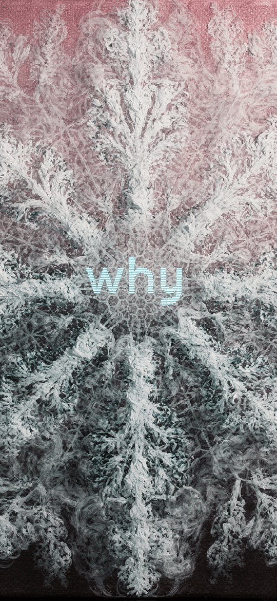 Frosty White Fractal Snowflake with the Word Why