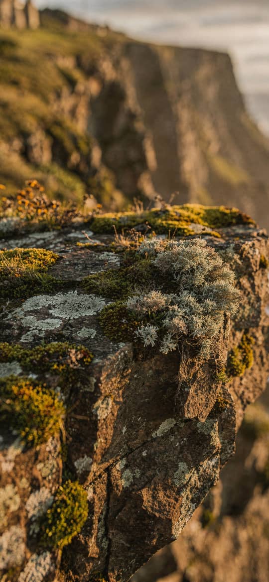 Mossy Cliff Edge Overlooking Ocean Waves