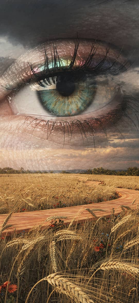 Giant Eye Over Winding Path in Wheat Field