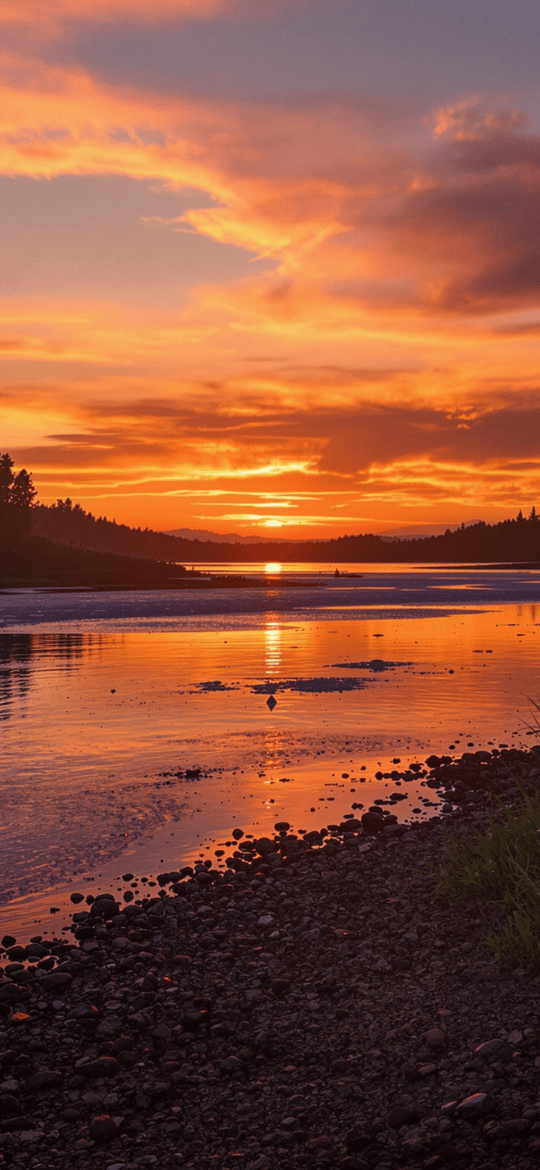 Sunset Reflection on Forested River Shore