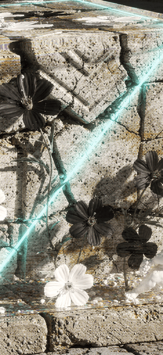 Stone Block Laced with Black and White Flowers