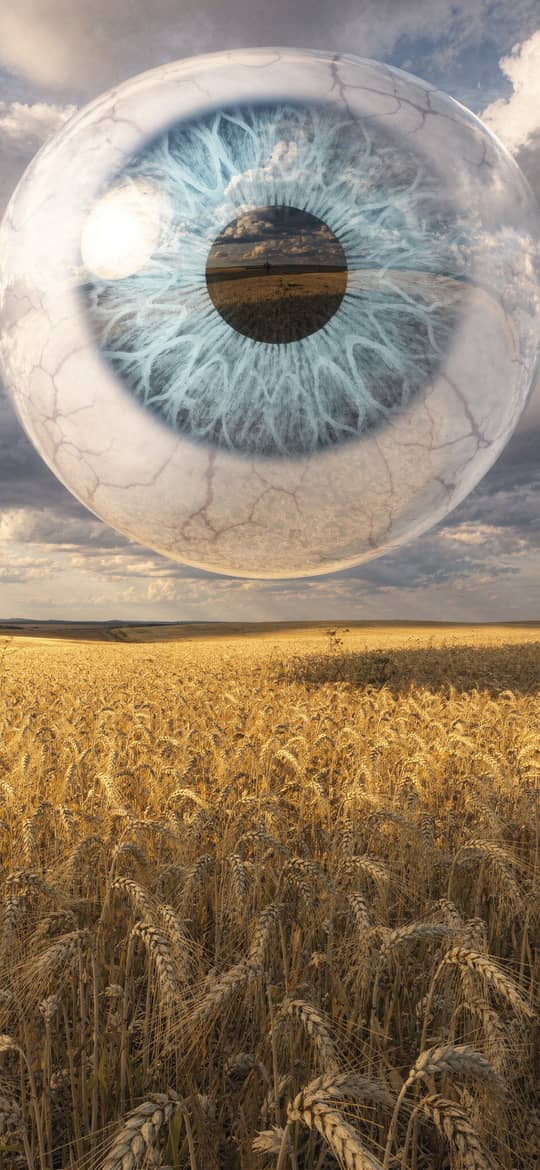 Giant Eyeball Over Golden Wheat Field