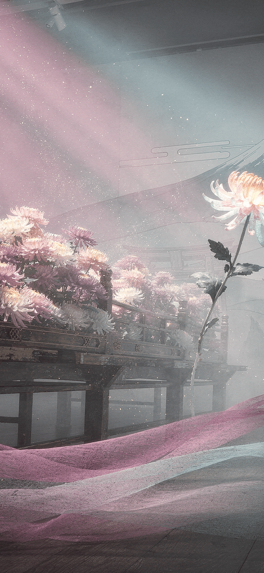 Chrysanthemums on Japanese Bridge with Mount Fuji