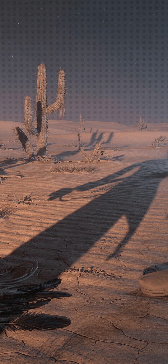 Desert Shadow and Abandoned Boot at Dusk